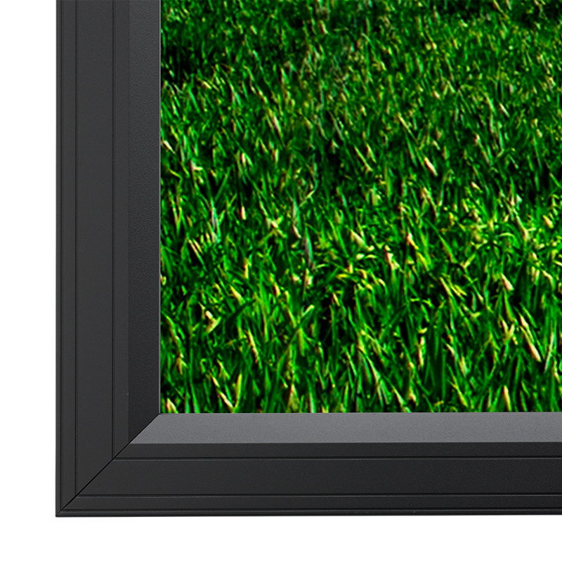Projecta HomeScreen 185х316 (169х300 см) (136